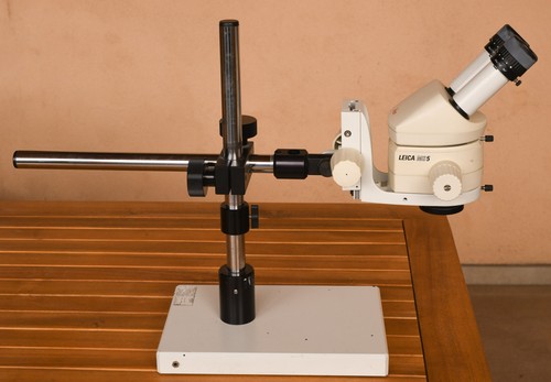 Leica ms5 loupe binoculaire - loupe, +